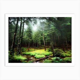 Forest In The Mist 1 Art Print