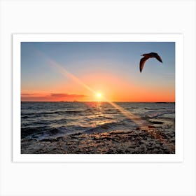 Seagull Flying Over The Ocean At Sunset in Ibiza (Spain Series) Art Print