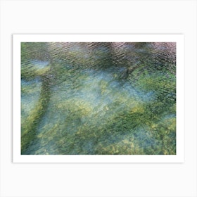 Reflection of trees in water, summer dream Art Print