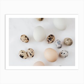 Quail Eggs 26 Art Print