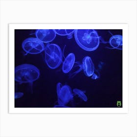 Blue Jellyfish 201907131850 12ppub Art Print