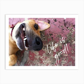 Dog feeling happy Art Print