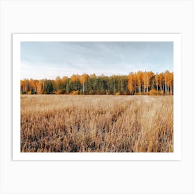 Warm Forest Field Art Print