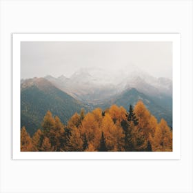 Fall Forest And Mountains Art Print