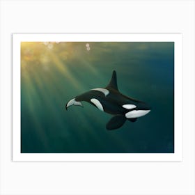 Orca underwater Art Print