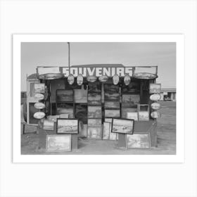 Souvenir Stand Of Buckeye Painter, Corpus Christi, Texas By Russell Lee Art Print