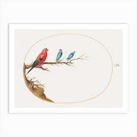 Three Brightly Colored Birds (1575–1580), Joris Hoefnagel Art Print