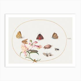 Butterflies With Other Insects And A Snapdragon (1575–1580), Joris Hoefnagel Art Print