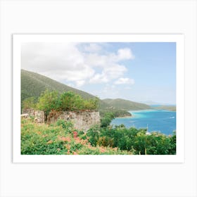 Waterlemon Cay in St. John  Art Print