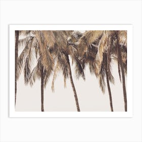 Pastel Palm Tree Sky Art Print