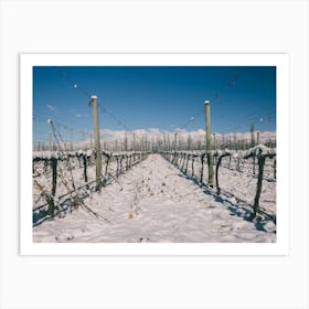 Unitltled 24 - Snow in the Vineyard Series Art Print