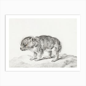 Young Bear, Jean Bernard Art Print