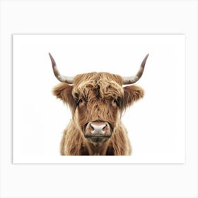 Highland Cow 12 Art Print