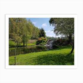 Pond In The Park Art Print