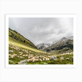 Grazing Sheep In The Mountains Art Print