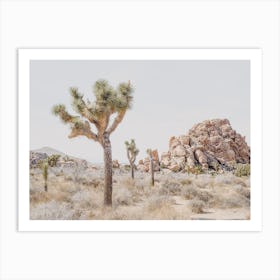 California Desert Art Print