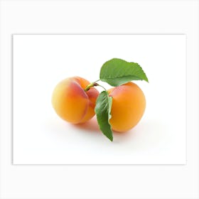 Apricots On White Background Art Print