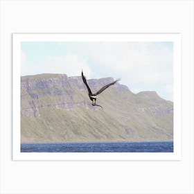 Osprey Over Ocean Art Print