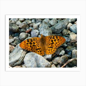 Sierra’s Butterfly Art Print