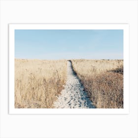 Path To Beach Art Print