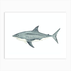 Shark 1 Art Print