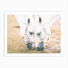 Two Horses Grazing Art Print