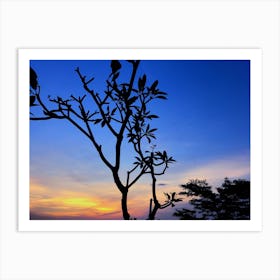 Silhouette Of Tree At Sunset In Bali Art Print
