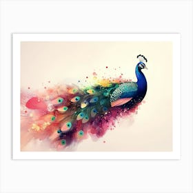 Colorful Peacock 12 Art Print