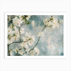 White Cherry Blossoms Art Print