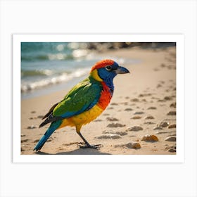 Beautiful Bird On A Sunny Beach 2 Of 3 Art Print