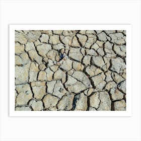 Cracked Earth Texture in Camargue. The image showcases a close-up view of cracked earth, revealing a network of intricate fissures and crevices. The dominant color is a muted gray, with subtle variations in shade and texture. The cracks are deep and pronounced, creating a sense of dryness and aridity. The overall mood is one of desolation and harshness, highlighting the effects of drought or lack of moisture. 3 Art Print