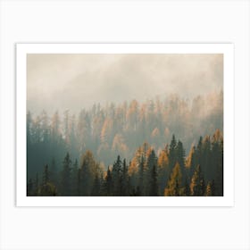 Misty Mountain Forest Art Print