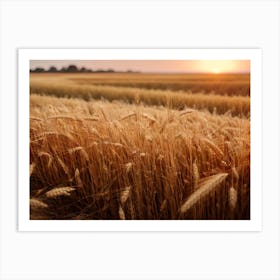 Sunset Over A Wheat Field Art Print