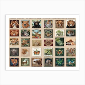 Animal Collection Art Print