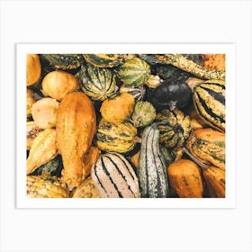 Autumn Squash Art Print