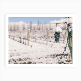 Unitltled 02 - Snow in the Vineyard Series Art Print