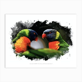 Currumbin Wildlife Sanctuary, Gold Coast, Queensland Art Print