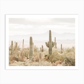 Arizona Landscape Art Print