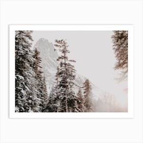 Snow Covered Pines Art Print