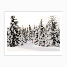 Snowy trees in Sjusjøen, Norway Art Print