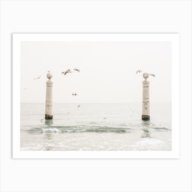 Bright Sea Seagulls Art Print