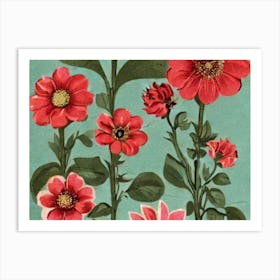 Red Dahlias Art Print