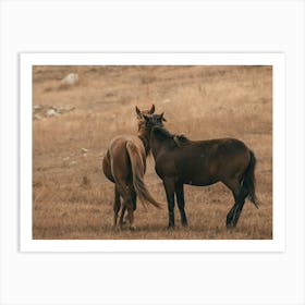 Vintage Horse Art Print Art Print