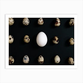 Quail Egg Art Print