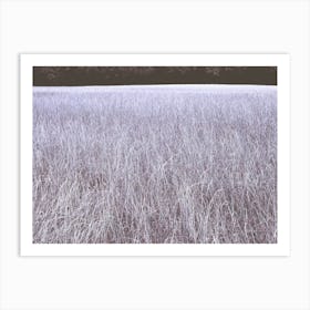 Surreal Blue Alien Tall Grass Landscape in Trent Park Art Print