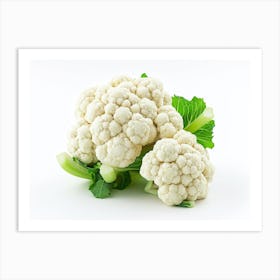 Cauliflower On White Background 7 Art Print