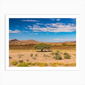 Desert In Oman Art Print