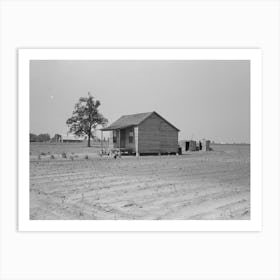 Untitled Photo, Possibly Related To Sharecropper S Cabin Surrounded By Cotton Field Ruined By Hail, Note Absen Art Print