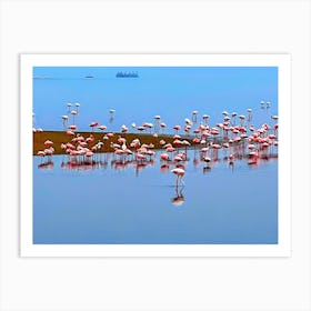 Walvis Bay Flamingos, Namibia (African Series) Art Print