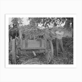 Farmer Loading Strippings From Sorghum Into Wagon, Lake Dick Project, Arkansas By Russell Lee Art Print